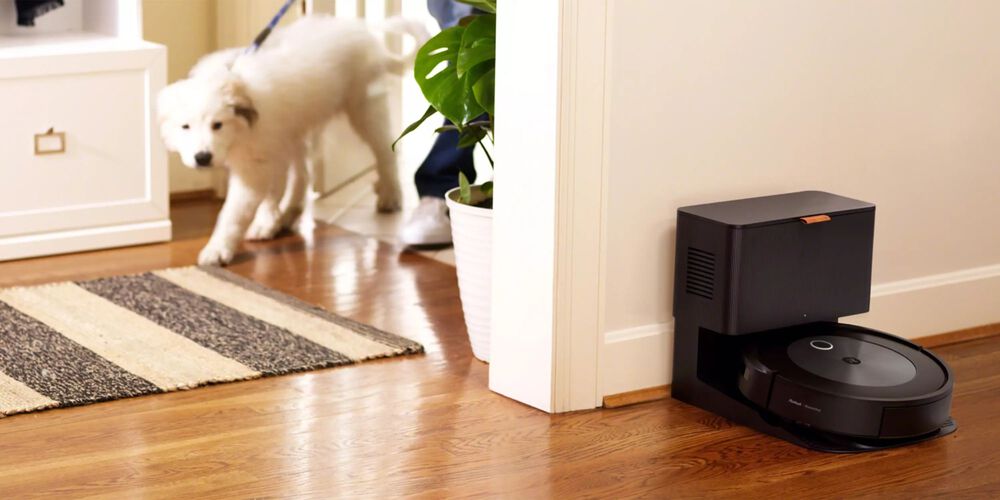 j7+ avec un chien marchant &agrave; l&rsquo;int&eacute;rieur