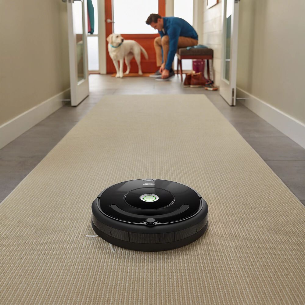Roomba 614 with guy and dog