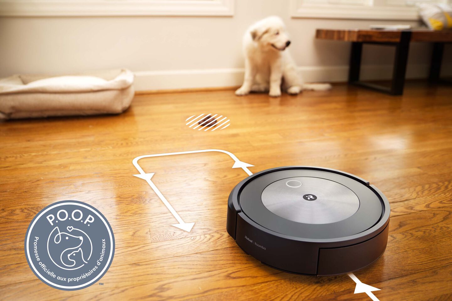 Aspirateur robot poil de chien