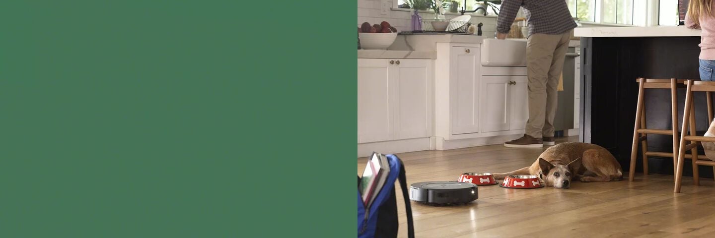 Roomba Combo et chien