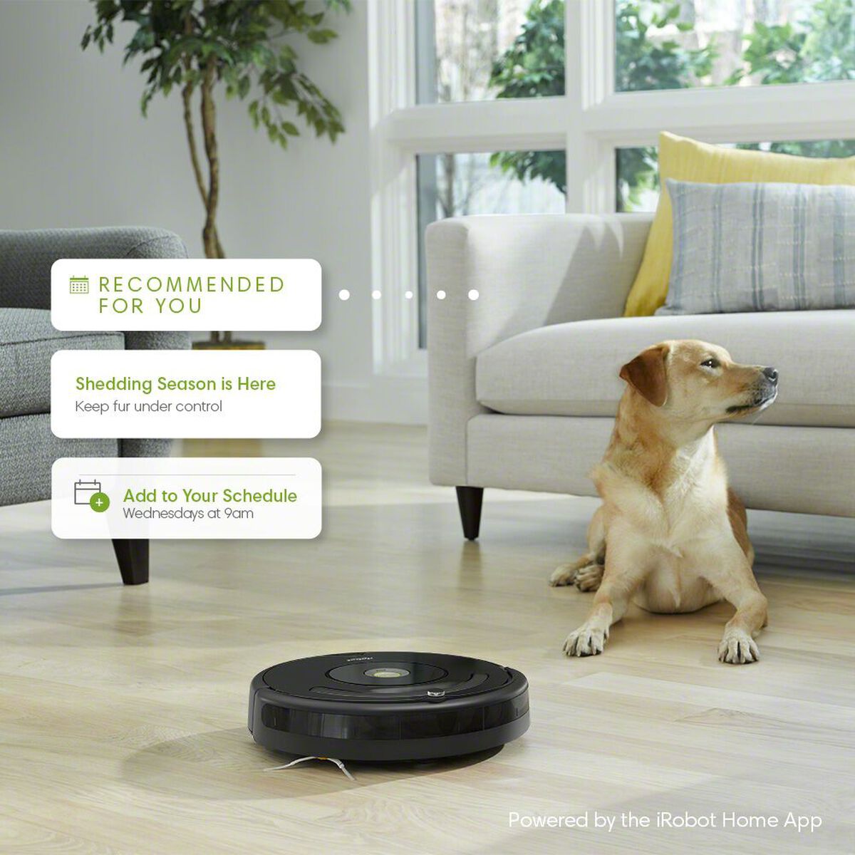 Robot aspirateur Roomba® 675 avec connexion Wi-Fi®, , large image number 6